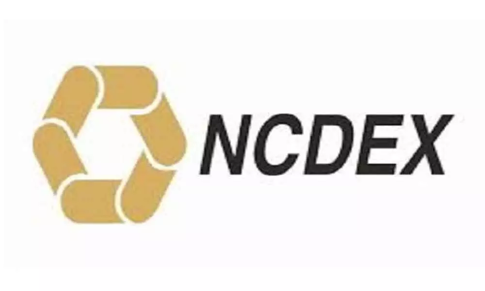 NCDEX files for IPO