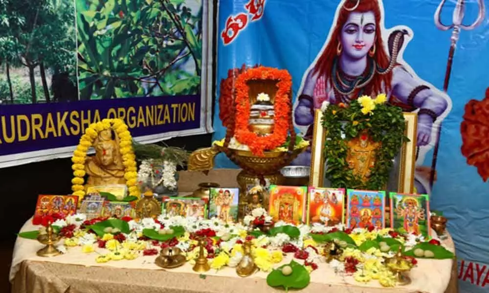 Rajamahendravaram: Rudraksha for spiritual-minded persons