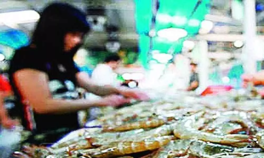 Coronavirus wont hit seafood exports to China: MPEDA