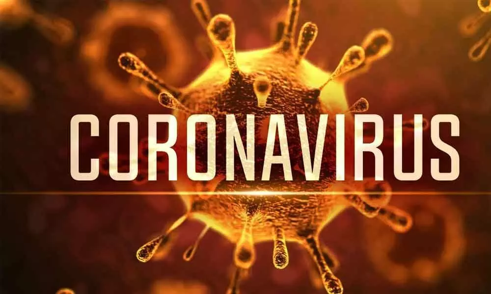 Singapore effectively fights Corona Virus: Know How
