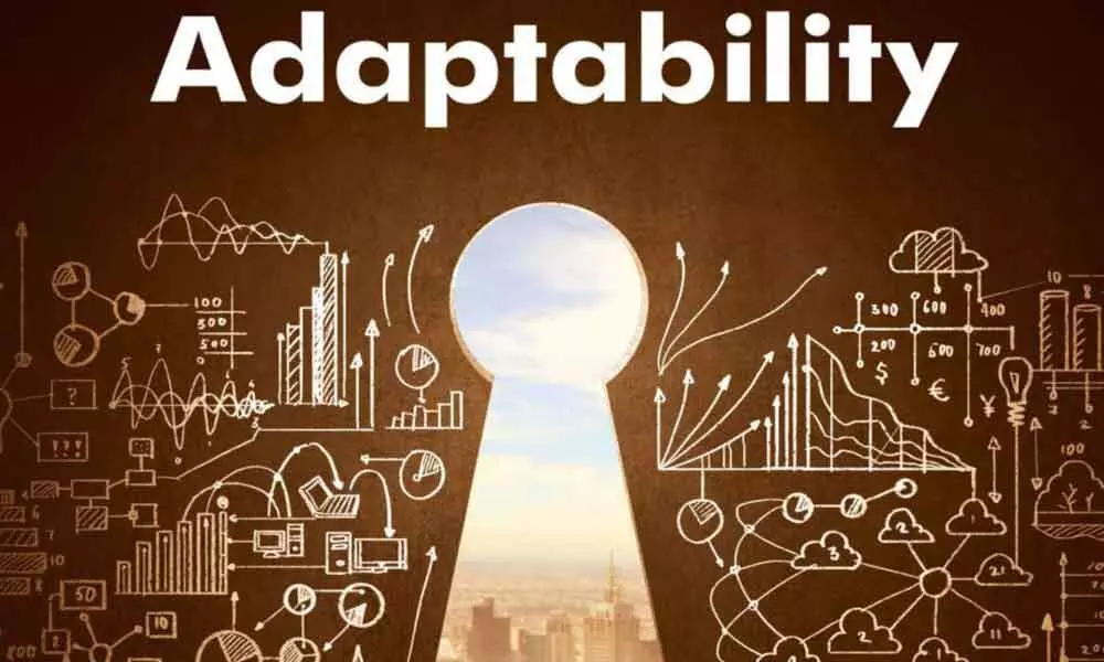 Adaptability - a crucial factor