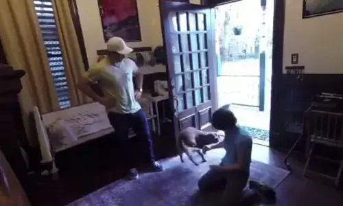 NASA Astronaut returns home to a super excited dog after spending 328 days in space: Watch Video