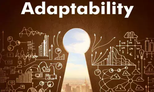 Adaptability - a crucial factor