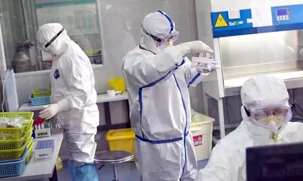 Chinas Hubei reports 411 new coronavirus cases