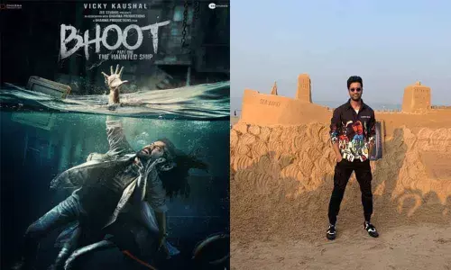 Sea Bird Is Back On TheJuhu Beach