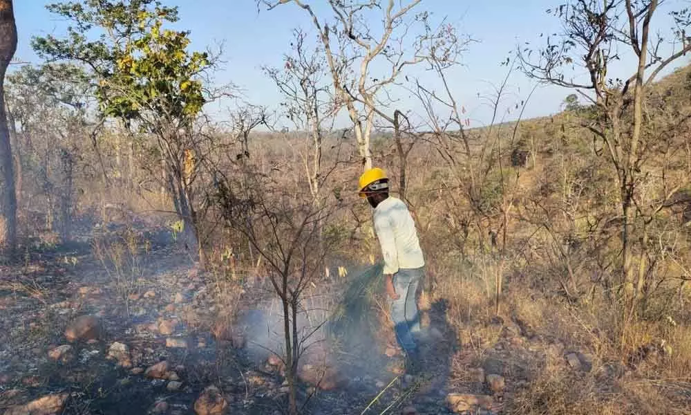 Hyderabad: Forest department gears up to battle forest blazes