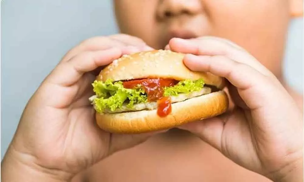 Eating fast food can make kids fat