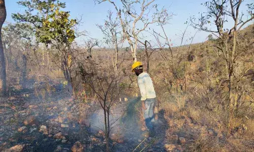 Hyderabad: Forest department gears up to battle forest blazes