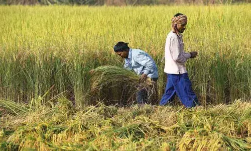 Steps to double farmers income