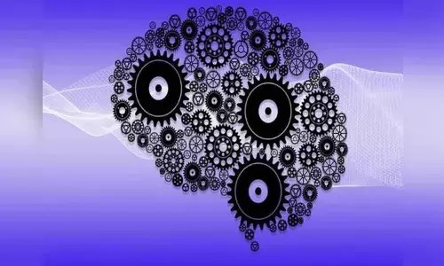 Researchers take on left-brain might not be right, study explains