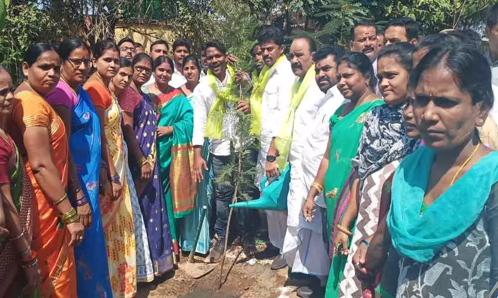 Musheerabad: Saplings planted on KCRs birthday