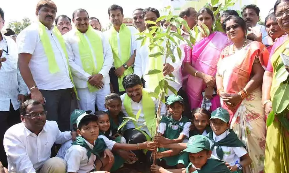 Hyderabad: 10,000 saplings planted in Gachibowli stadium