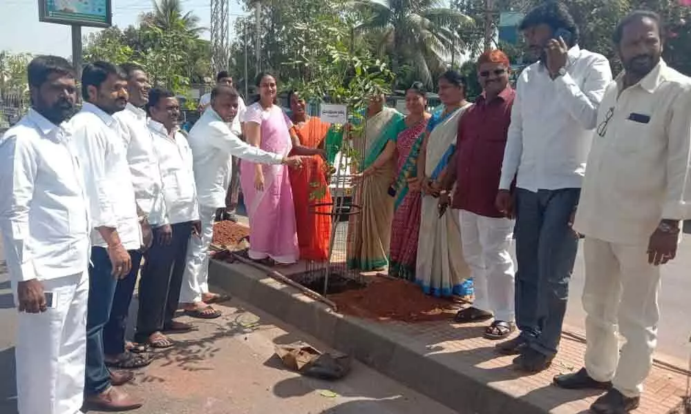 100 saplings planted at Rampalli Zilla Parishad High School