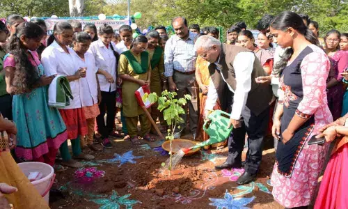 Rajendranagar: Green drive on CMs birthday