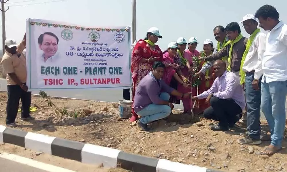 Hyderabad: TSIIC ZM Kalavathi plants saplings in Patancheru