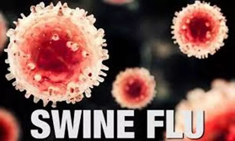 Hyderabad: 20 China returnees test positive for swine flu
