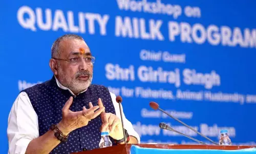 Government announces plan to double milk processing capacity by 2025