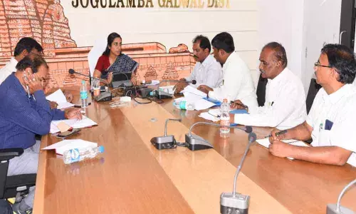 Gadwal plans massive afforestation in 17,555 acres