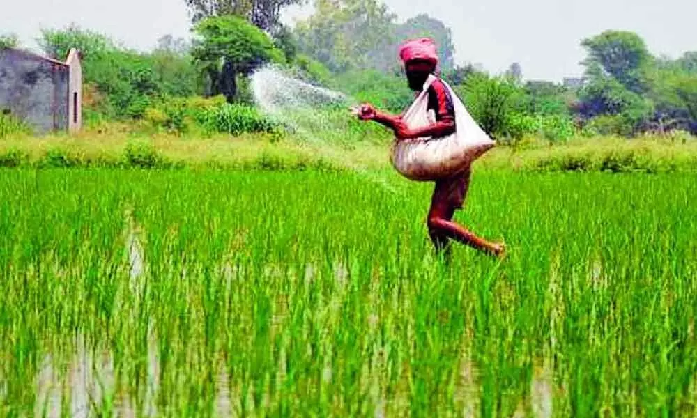 Relief for farmers : Cabinet nod for making crop insurance voluntary