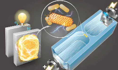 Novel device can generate electricity from air using bacterial protein: Study