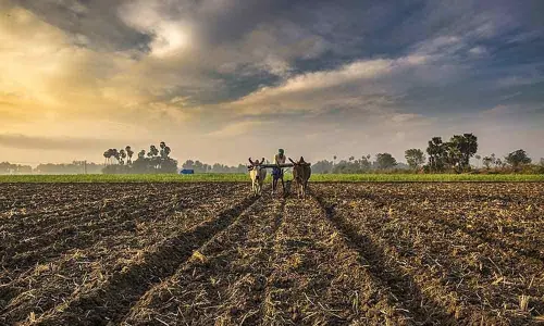 CCEA approves creation of 10,000 FPOs