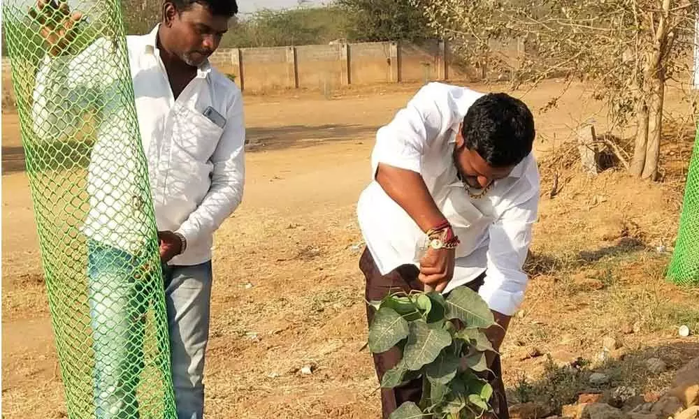 Hyderabad: Ensure saplings survive, sarpanch Neelam Madhu Mudiraj tells villagers