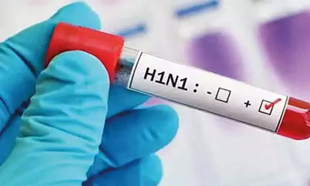 Warangal: Pregnant woman tested positive for swine flu