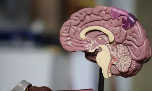 Scientists develop novel technique to measure empathy