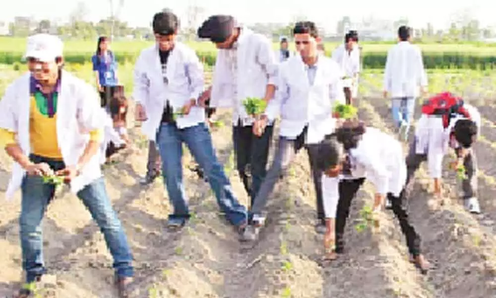 Hyderabad: Facilitating rural youth in agri for a profitable profession