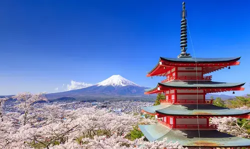 Coronavirus: Tokyo Postpones Olympics 2020 Volunteers Training