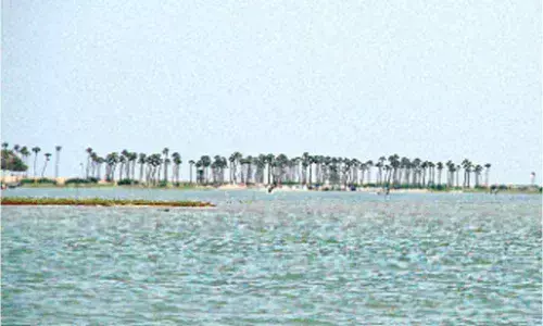 NCCR conducts study on ecology of Pulicat lake