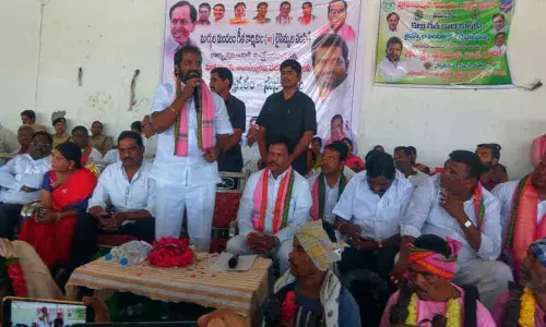 642 toddy tappers given Tree For Tappers licences