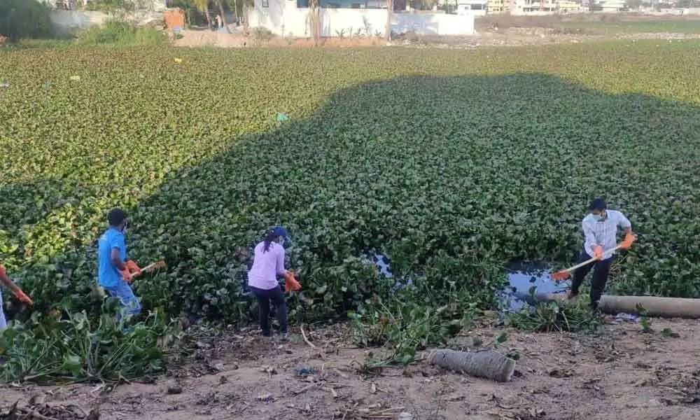 Hyderabad: Citizens fight to keep lakes alive