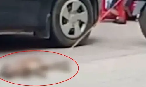 Motorist dies while trying to avoid hitting dog in Hyderabad