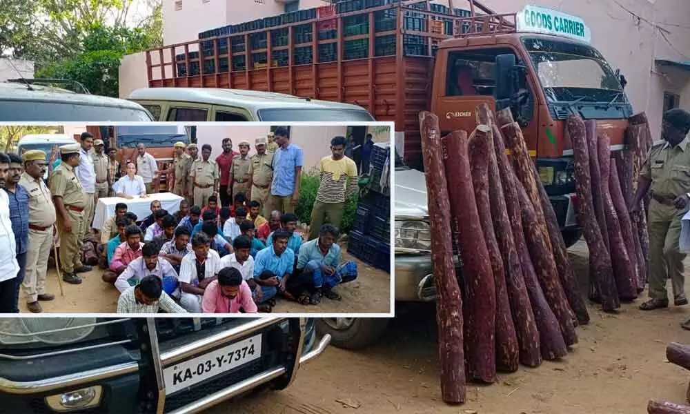 27 wood cutters arrested, 47 redsander logs recovered
