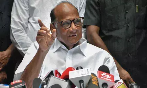 Koregaon Bhima inquiry panel to summon Sharad Pawar