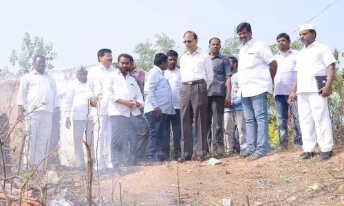 Medak: Collector Dharma Reddy says Expand greenery in parks