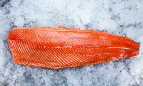 Animal that doesnt survive on oxygen discovered