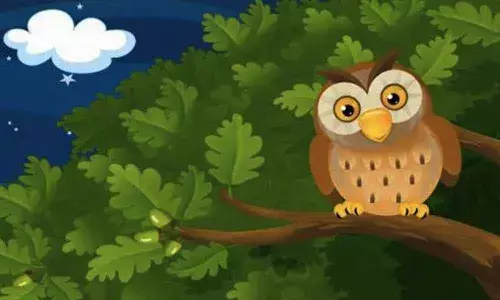 Story Time: The owl and the nightingale