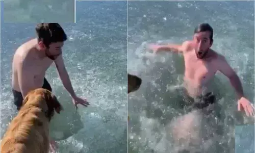 Close to Death, In US A TikTok Star Went into Ice Water to Shoot A Video