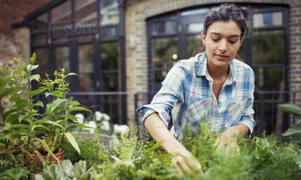 Spending time in nature may lower stress, anxiety: Study