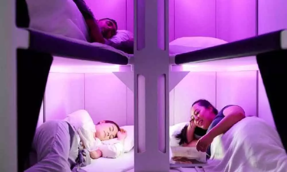 Bunk beds in Kiwi plane