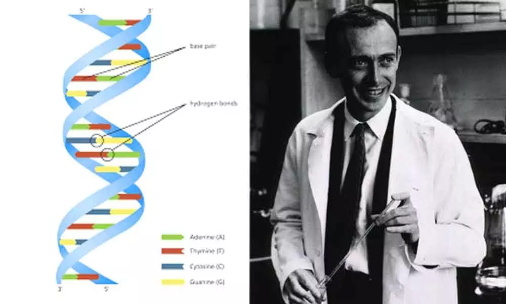 Today in History...DNA structure discovered