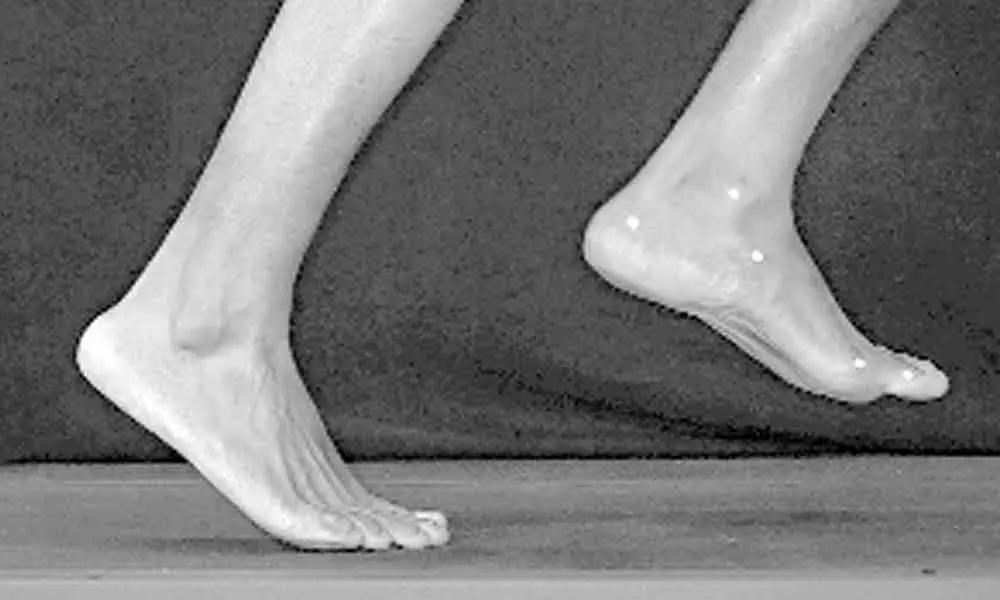 Why the human foot was made for running long distances -- even