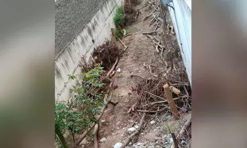 Hyderabad: Gated community fined for green massacre in Kukatpally