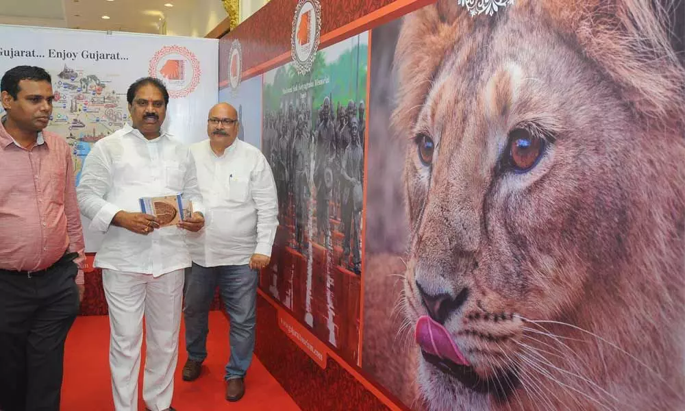 Vijayawada: MLA inaugurates 3-day travel exhibition