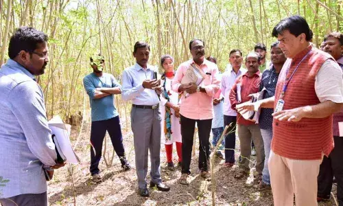 Kakinada: Government to distribute 25 lakh house sites in State