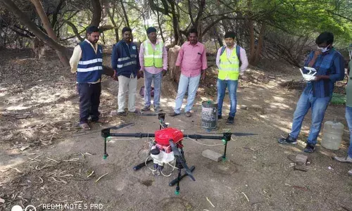 Hyderabad: Anti-larval operations fail to stop mosquito sting