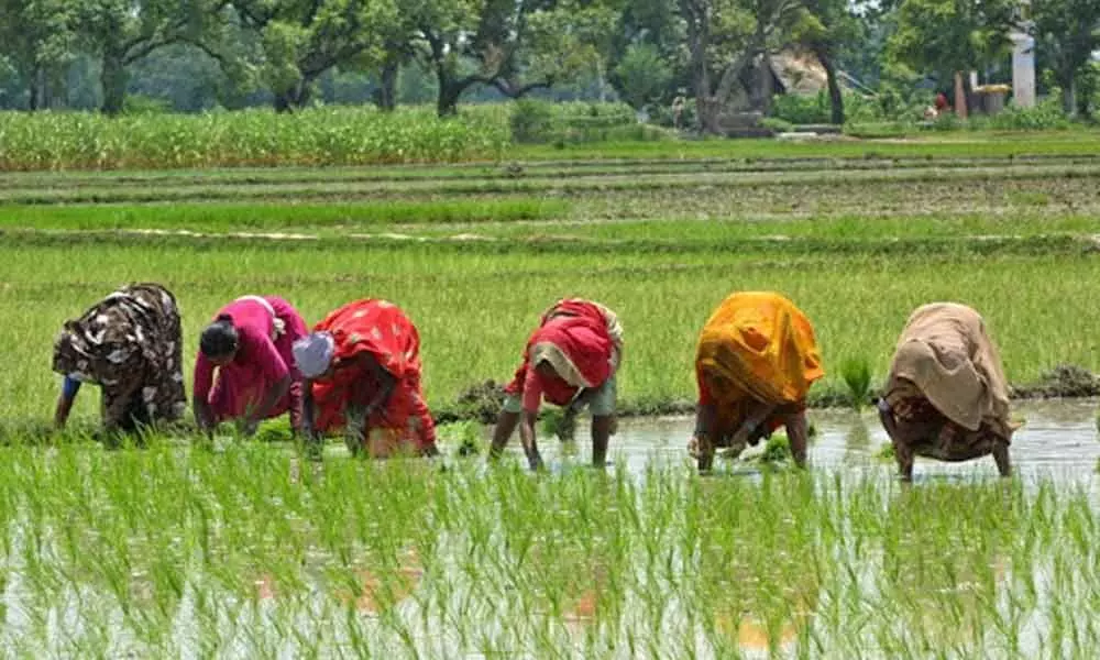 Hyderabad to host state-level meet from March 6 on issues faced by women in agriculture