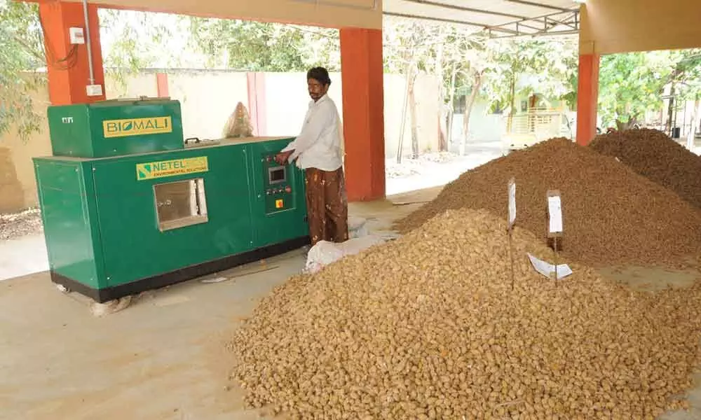 Guntur: Drastic fall in turmeric price worries farmers